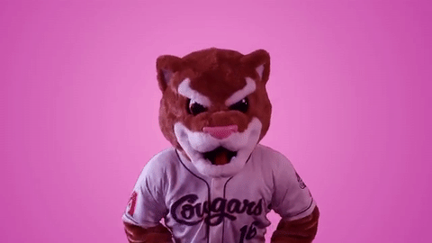 hotline bling dancing GIF by Kane County Cougars