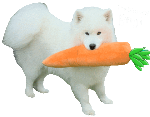 Dog Yes Sticker