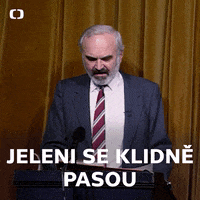 Ceskatelevize Ceska GIF