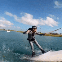 GIF by House of X