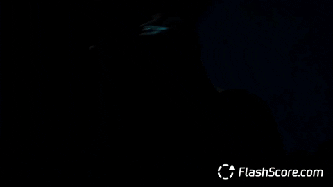 Petr Cech Rock GIF by FlashScore.com