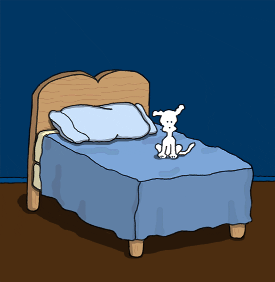 good night go to bed GIF by Chippy the Dog