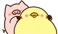 Happy Bird GIF by foodieg