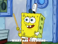 season 7 GIF by SpongeBob SquarePants