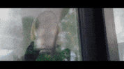 Music Video Love GIF by DaniLeigh