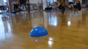 fitness workout GIF by FSU Campus Rec