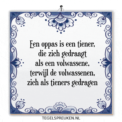 Nl Spreuk GIF by Tegelspreuken.nl