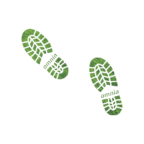 omniabrasil giphygifmaker agricultura omnia omniabrasil Sticker