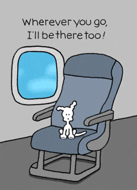 I Love You Dogs GIF by Chippy the Dog