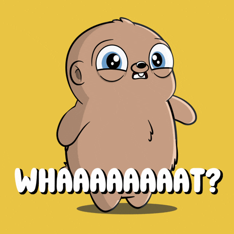 Excuse Me What GIF by Fugz Official