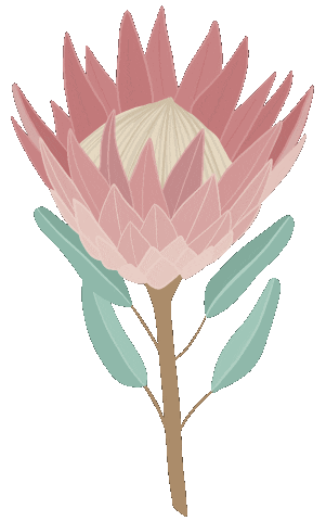 South Africa Wedding Sticker