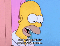 Season 1 GIF by The Simpsons