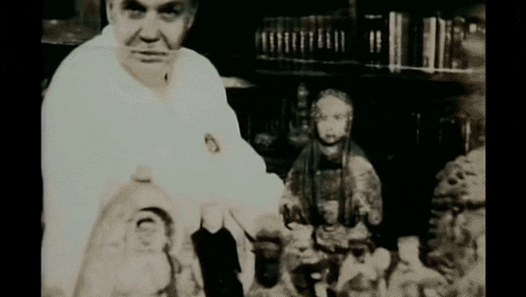 GIF by Salón Boricua