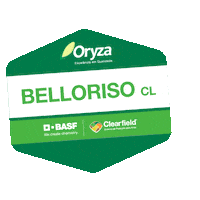 Arroz Sticker by BASF Soluções para a Agricultura