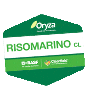 Arroz Sticker by BASF Soluções para a Agricultura