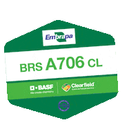 Arroz Sticker by BASF Soluções para a Agricultura