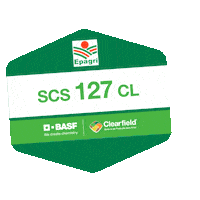 Arroz Sticker by BASF Soluções para a Agricultura