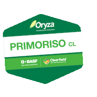 Arroz Sticker by BASF Soluções para a Agricultura