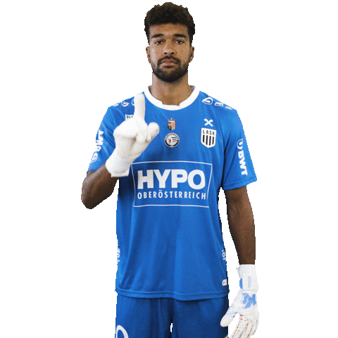 Sport Soccer Sticker by LASK