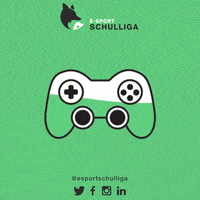 Game Fun GIF by E-Sport Schulliga