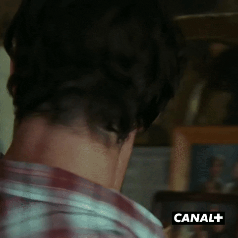 Canal Plus Serie GIF by CANAL+