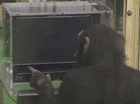 Puzzle Solving GIF