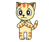 Cat What GIF by JPedicini