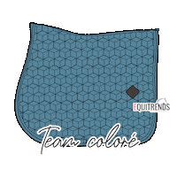 Velvet Sticker by Equitrends