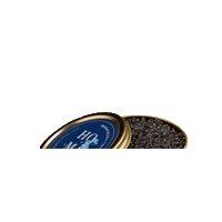 homacaviar caviar beluga sturgeon homa Sticker