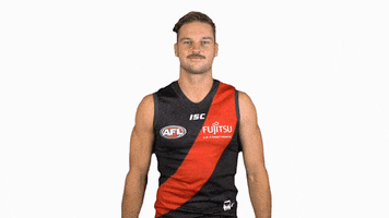 essendonfc patrick dons bombers essendon GIF