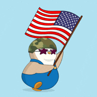 United States Usa GIF by Pudgy Penguins