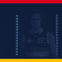 Afl GIF by Adelaide Crows
