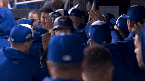 Blue Jays Baseball GIF by Toronto Blue Jays