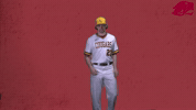 baseball GIF