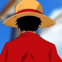 One Piece GIF