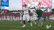 College Football GIF by USF Athletics