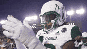 College Football GIF by USF Athletics