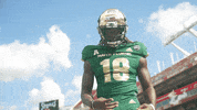 College Football GIF by USF Athletics