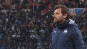 Angry Andre Villas Boas GIF by Olympique de Marseille