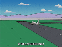 homer simpson plane on runway GIF