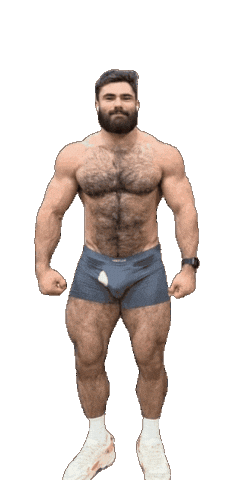 Gay Bear Sticker by Database數據