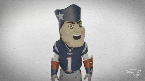 Football What GIF by New England Patriots