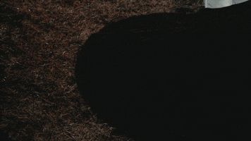 channel zero butchers block GIF by SYFY