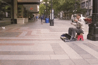 washington seattle GIF