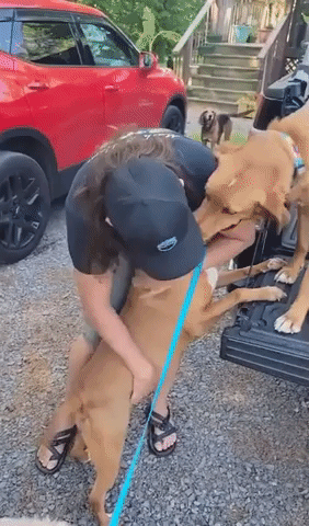Dog Reunited With Owners