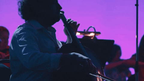 novat giphygifmaker cello GIF