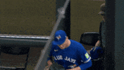 Blue Jays Baseball GIF by Toronto Blue Jays