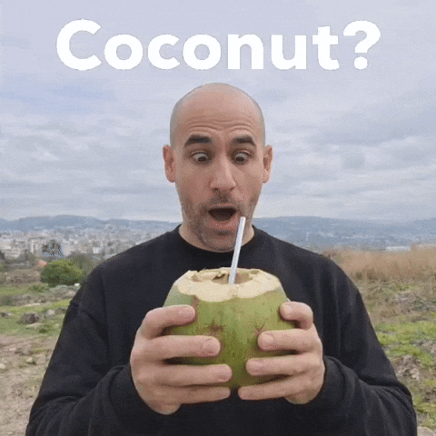 Coco Coconut GIF