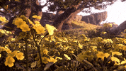 Sneaking Wild Hearts GIF by Xbox