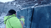 DiscoveryCanada cut discovery channel hard at work jade fever GIF